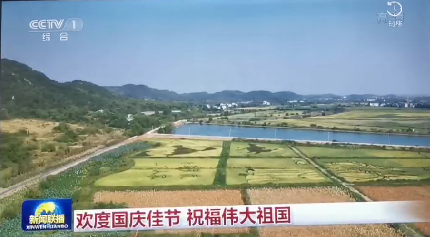 上央视-景遥五彩稻田画，助力乡村振兴